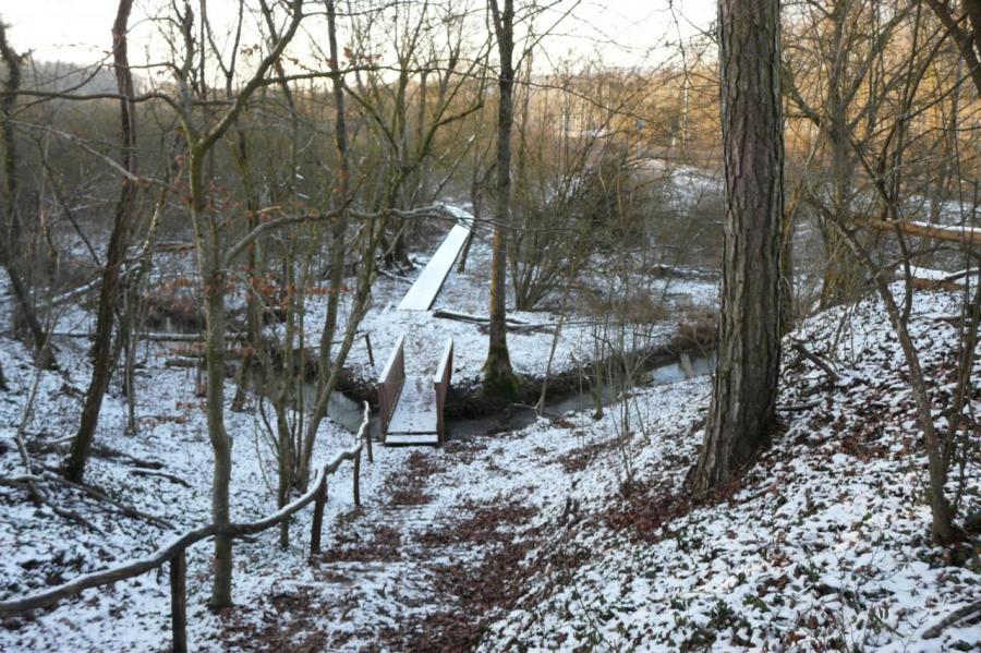 le début du sentier du marais