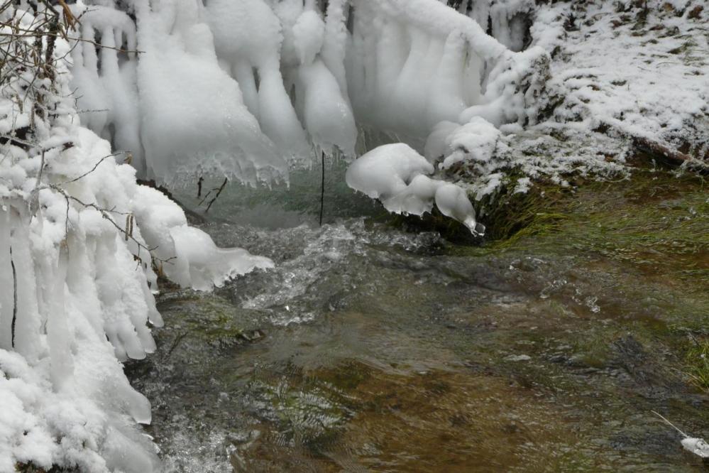 le froid a fait son oeuvre