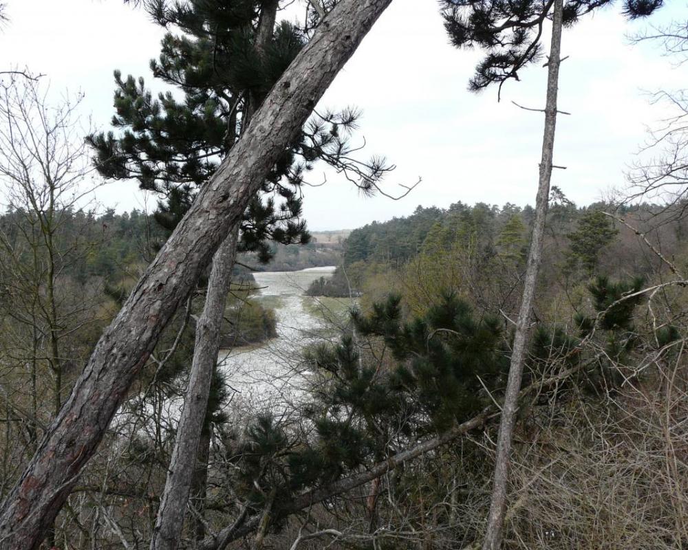 le vallon de la Bouvade vers Moutrot