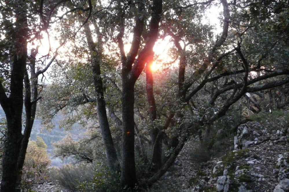 les reflets du soleil couchant