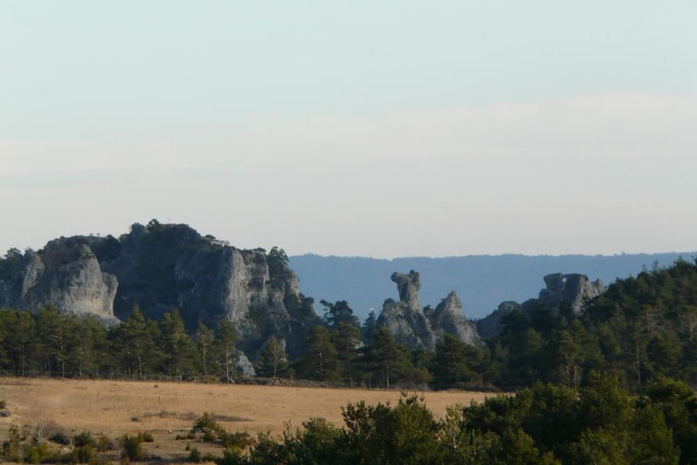 Une partie des rochers ruiniformes de Montpellier le vieux vus depuis la route d' accès