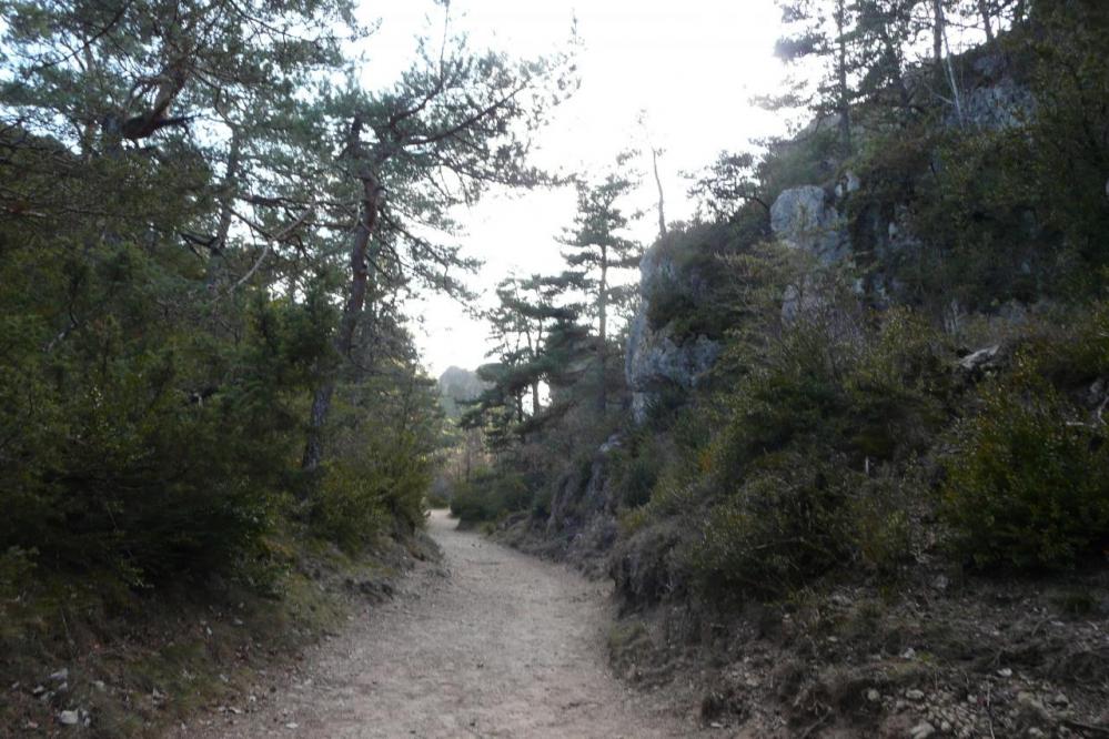 site de Montpellier le vieux,sentier rouge site de Montpellier le vieux,sentier rouge