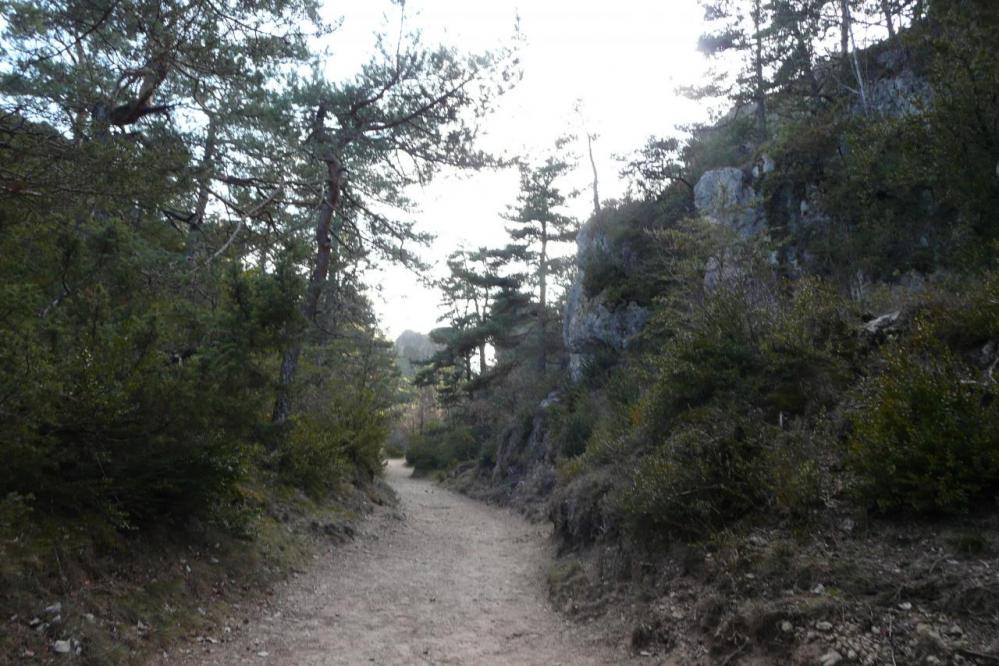 site de Montpellier le vieux,sentier rouge