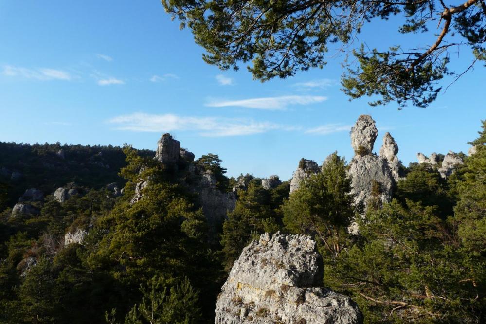 vue générale sur les rochers du chaos de Montpellier le vieux