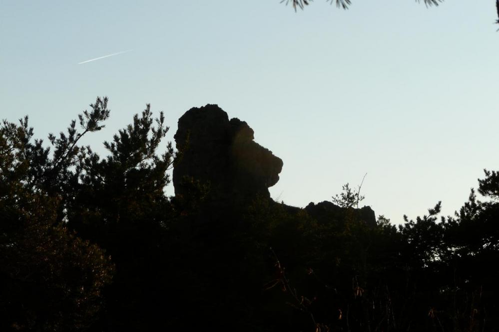 la tête de l' ours au chaos de Montpellier le vieux