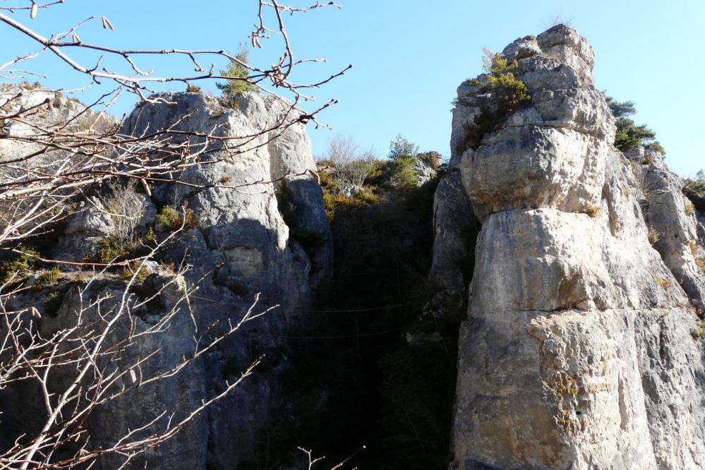 le pont de singe innaccessible