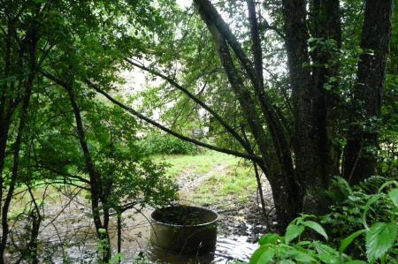 Le ruisseau aérien à proximité de l' ancienne étable