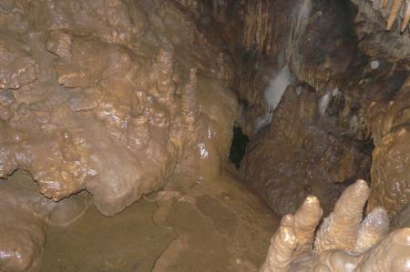 la rivière coule au fond