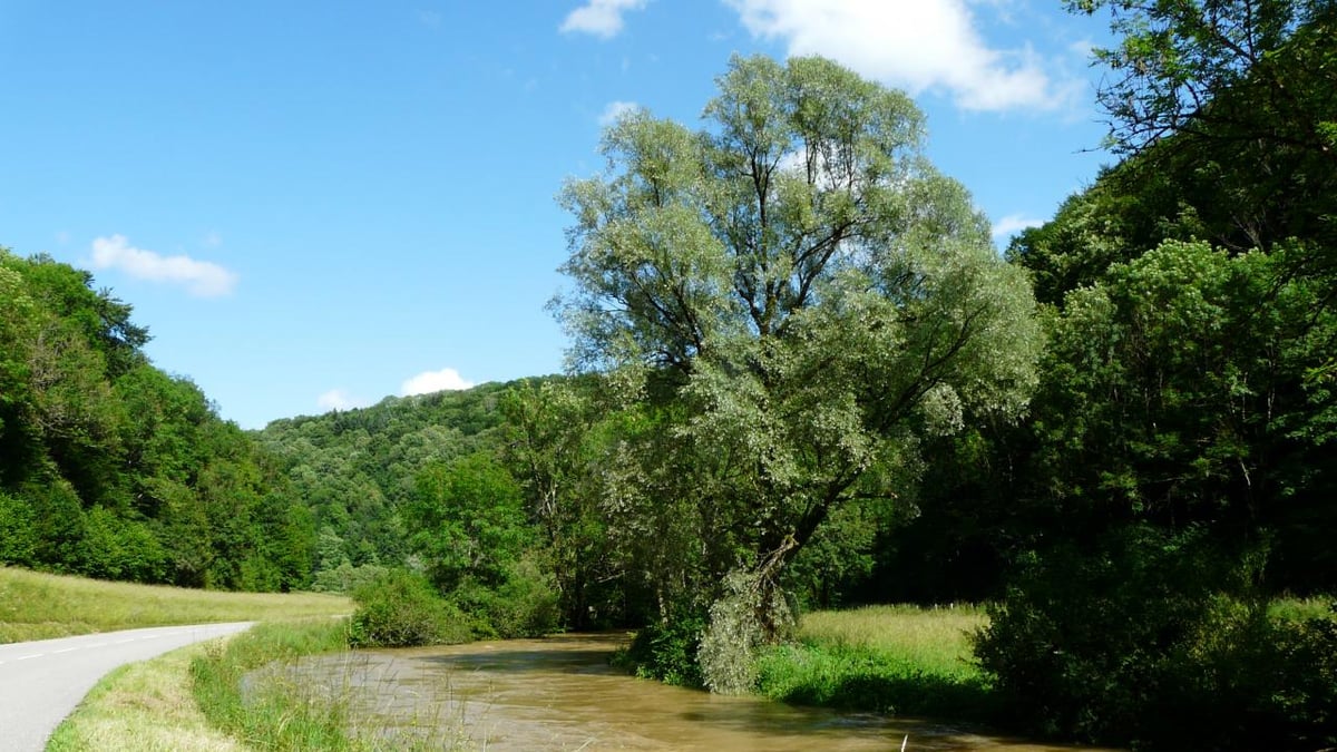 Les eaux sont bien chargées !