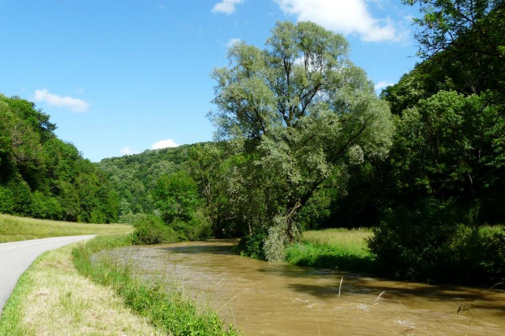 Les eaux du Cusancin sont bien chargées !