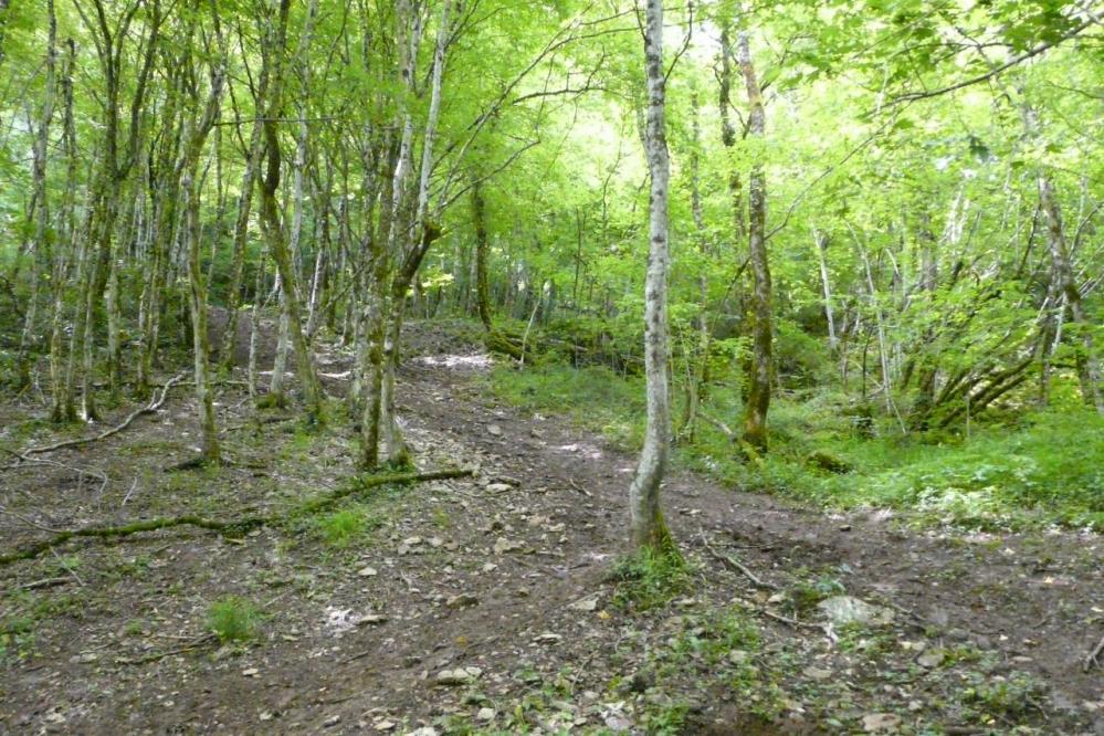 la montée raide vers l' ancienne voie de chemin de fer