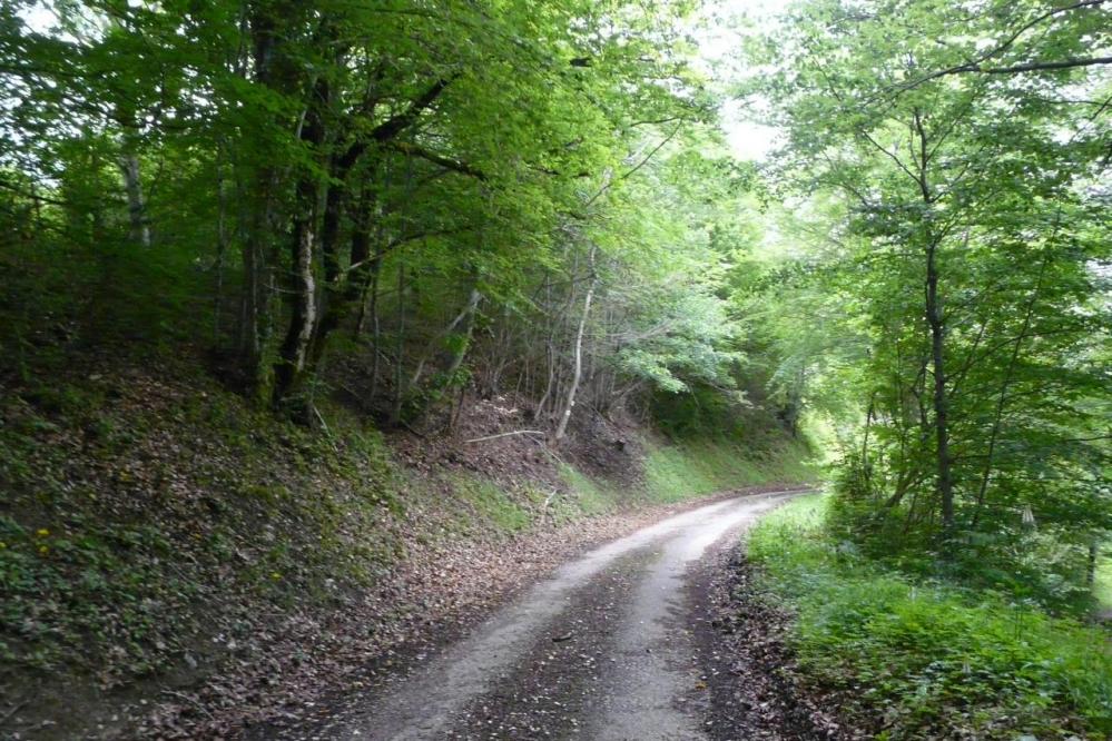 Chemin/route vers La Bertinière