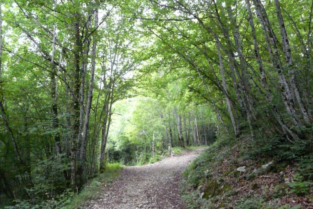 	l' erreur, j' ai pris à droite au lieu d' aller tout droit !	