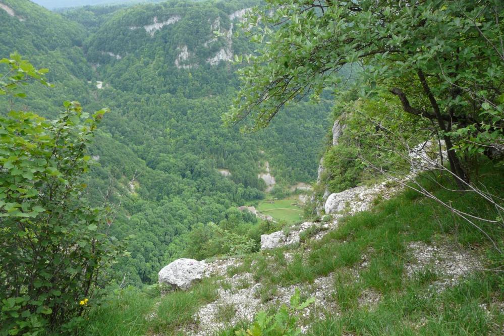 Belle vue depuis le plateau sur le vallon de l' Albarine