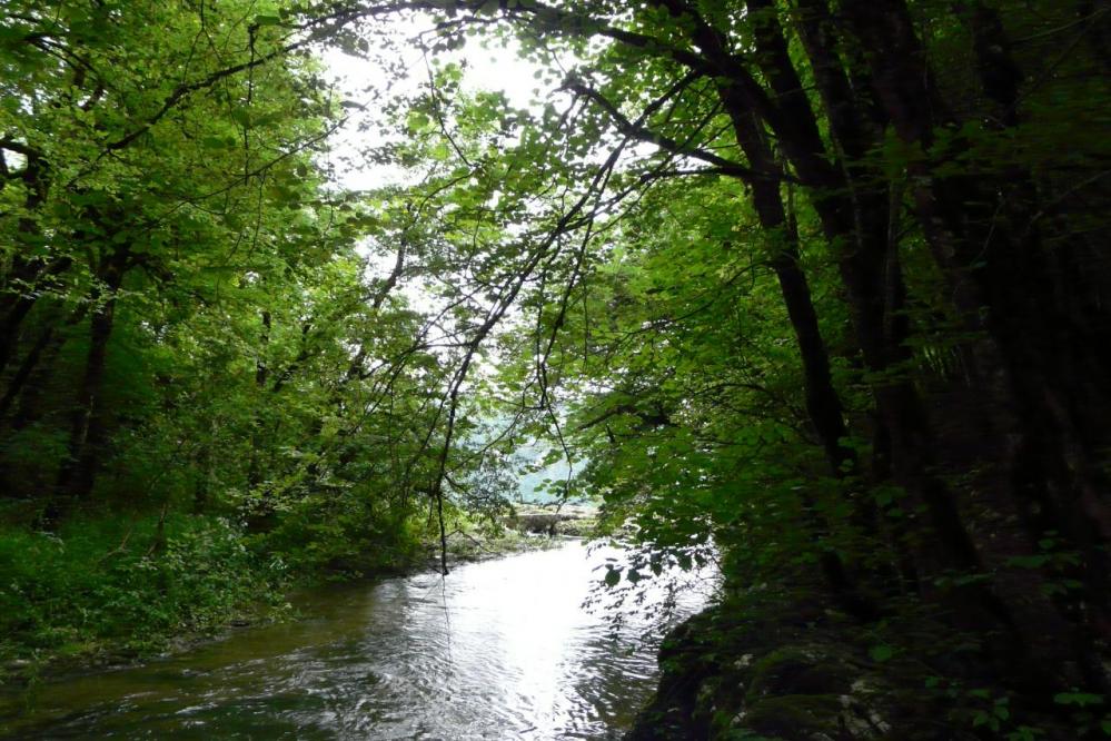 l' Albarine juste avant la chute