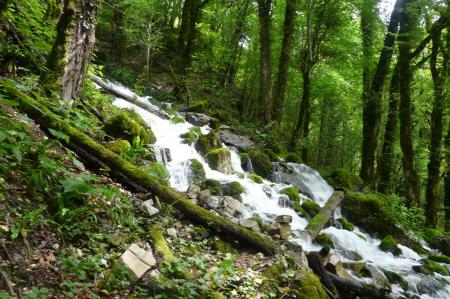 bas de la cascade des demoiselles