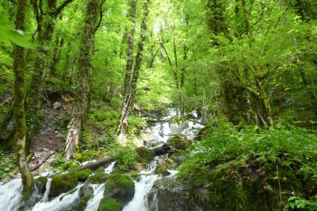 suite du chemin après la cascade des demoiselles