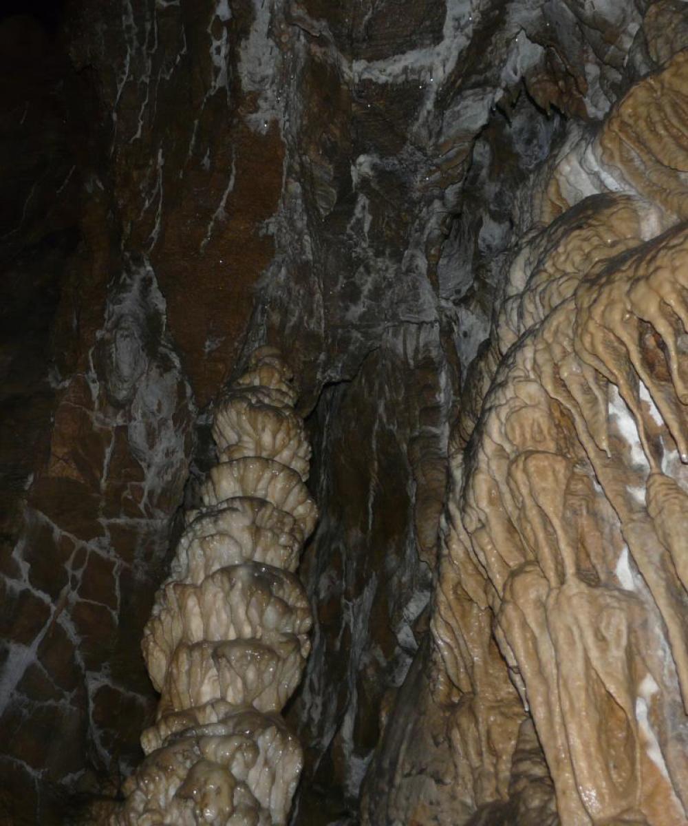 la galerie fossile de la Doria