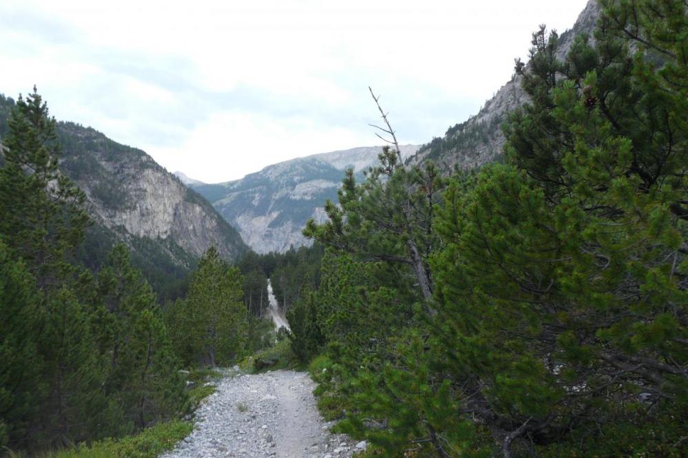 dans la descente du col en vue de la piste qui ramène à Plampinet