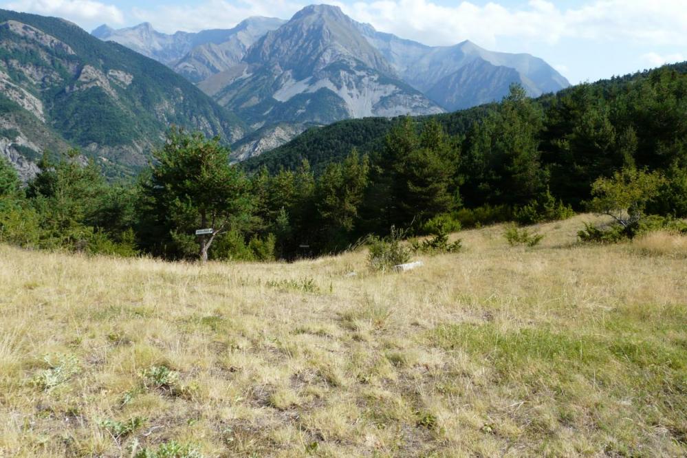 chemin du retour via de Prads sur Bléone