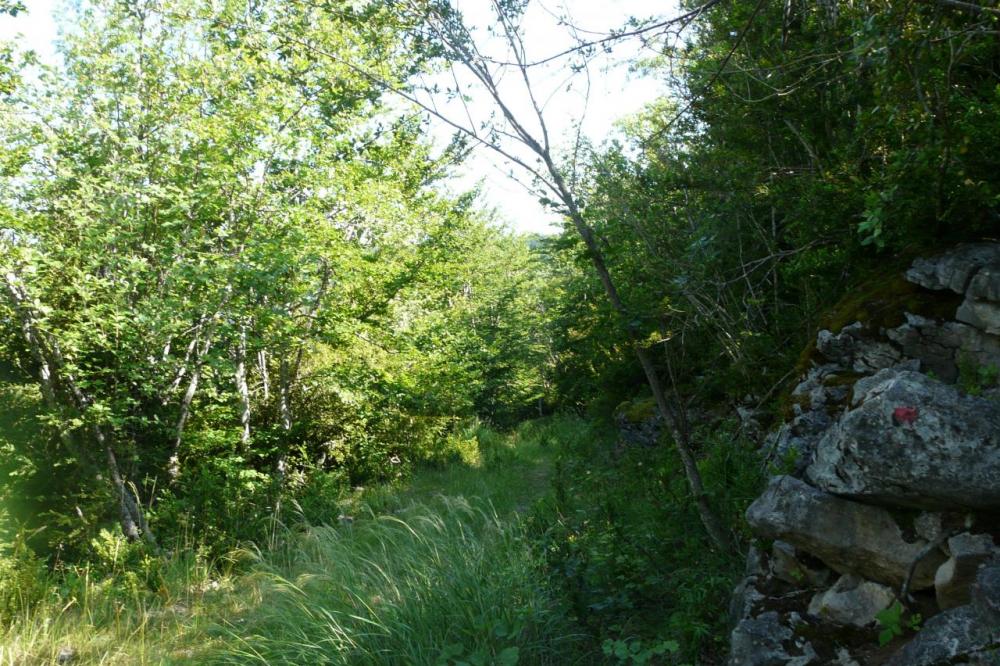 Le chemin se rétrécit; on approche du pas des voûtes