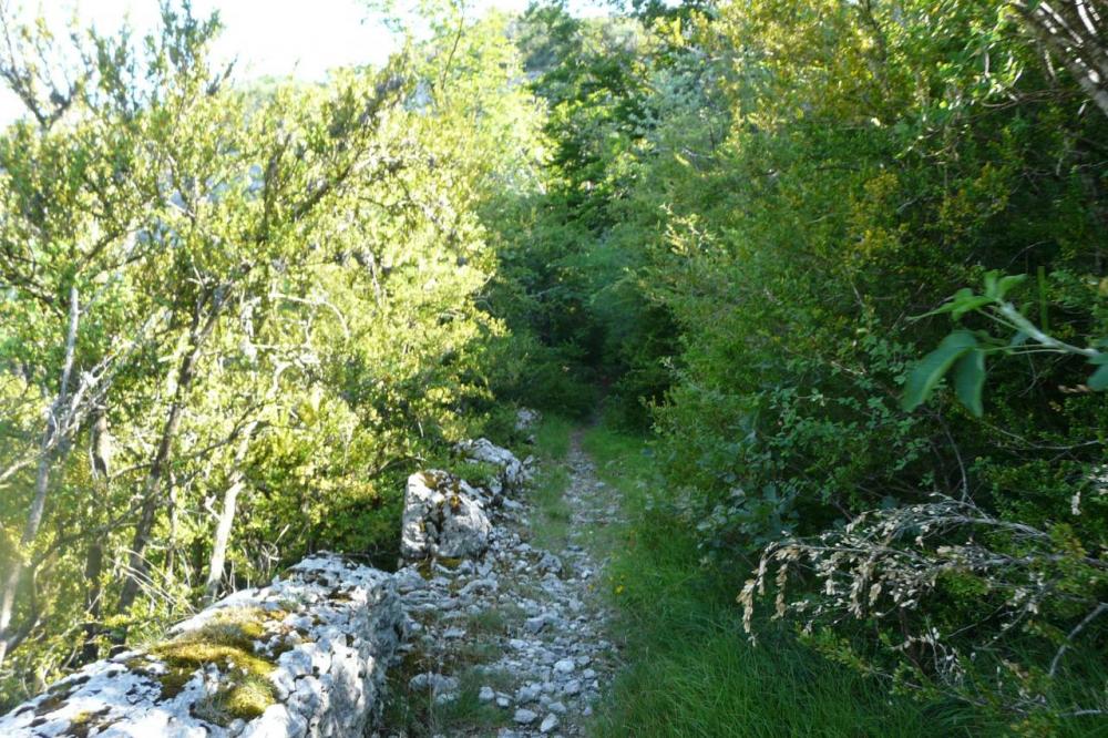 le sentier qui méne aux vestiges de la Charmatte