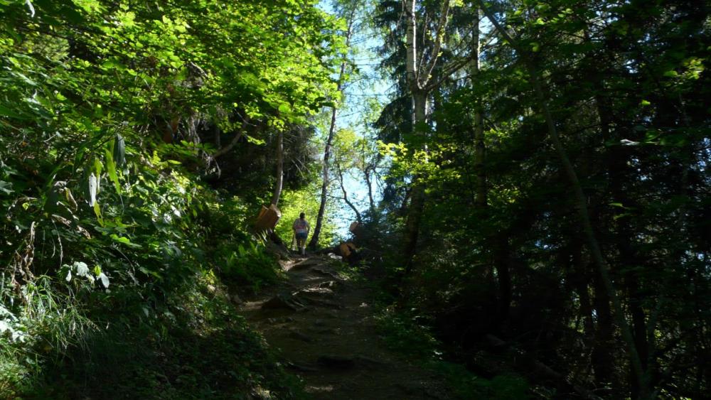 montée ombragée vers la via de la cascade de la fare