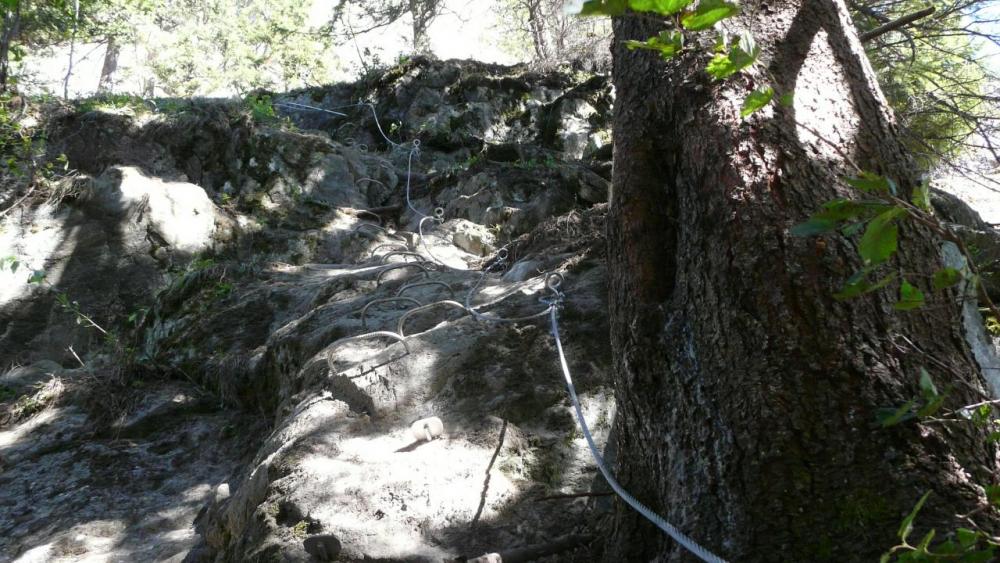 Départ de la via de Vaujany dans le sous bois après le pont de singe -voie des passerelles)