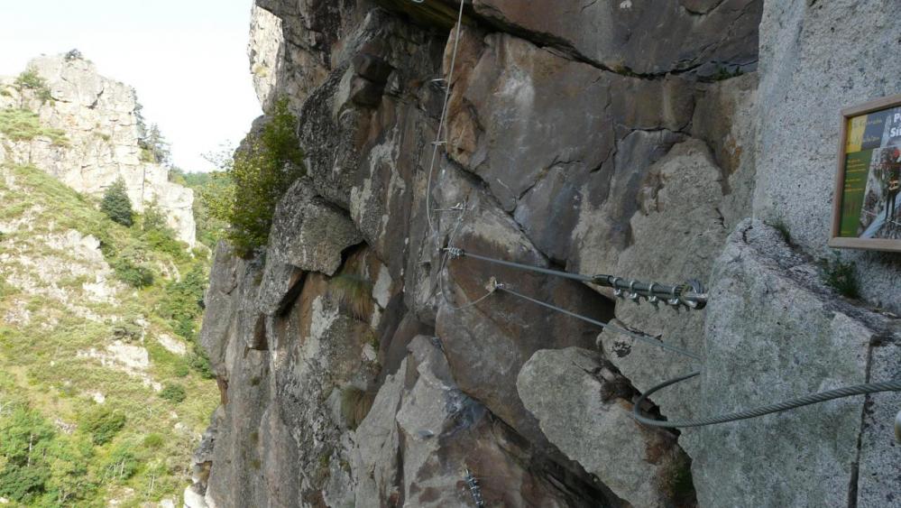 petit pont de singe dans la partie difficile