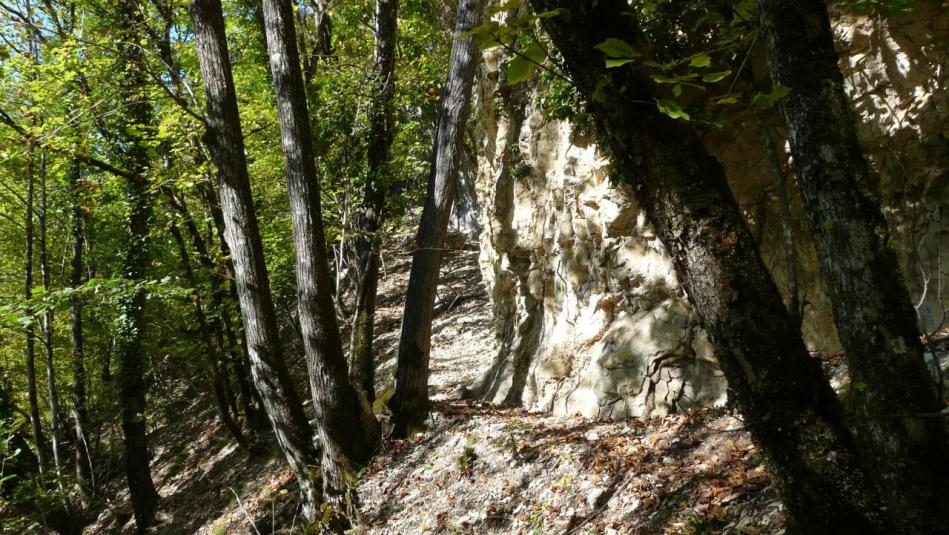 le pied de la falaise est rejoint après une montée épique !