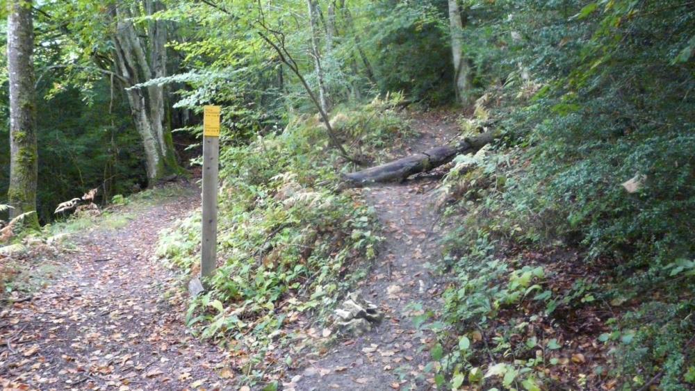 la bifurcation vers l' école d'escalade te la grotte de Bouleyre