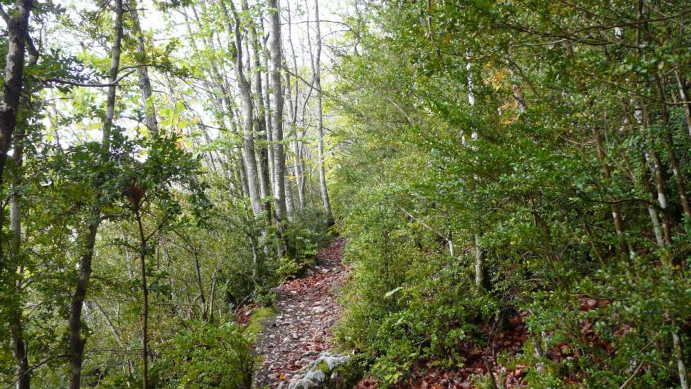 chemin d' accès grotte des Ferrières