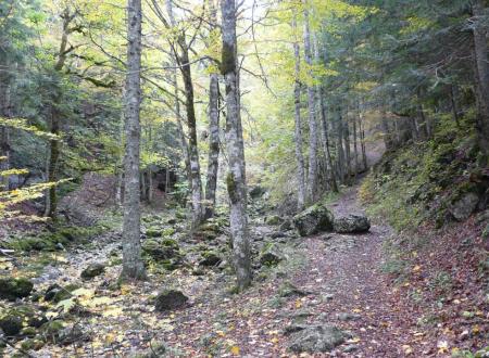 sentier d' accès à la grotte du Brudour