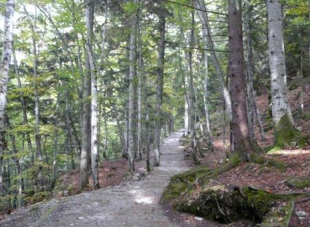 le sentier d' accés de la grotte de la Luire