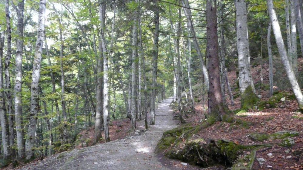 le sentier d' accés de la grotte de la Luire