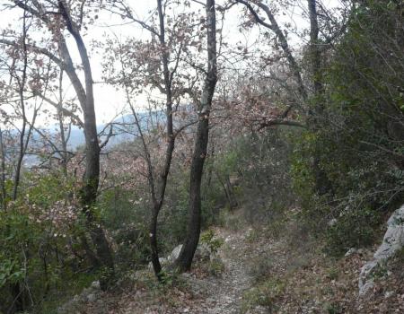 chemin de descente via du Thaurac