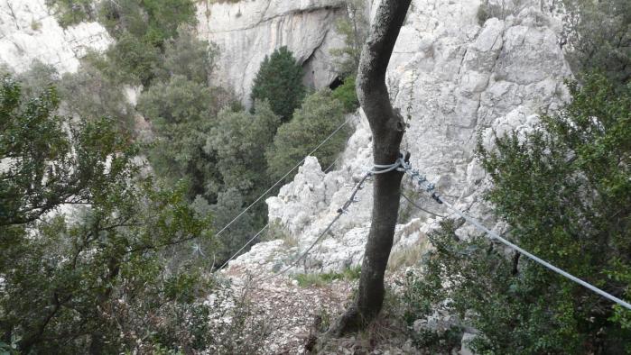 arrivée au second pont de singe de la via du Thaurac