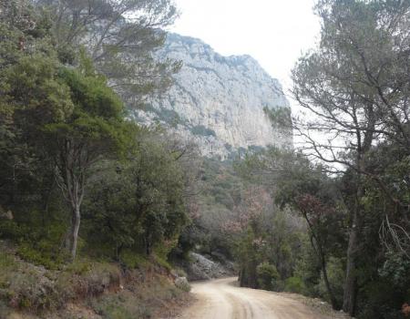 la piste d' accès qui longe la montagne de l' Hortus