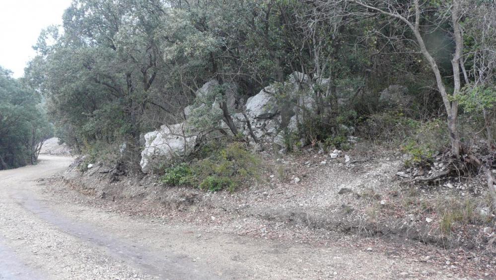 le sentier d' accès à la grotte de l' Hortus depuis la piste