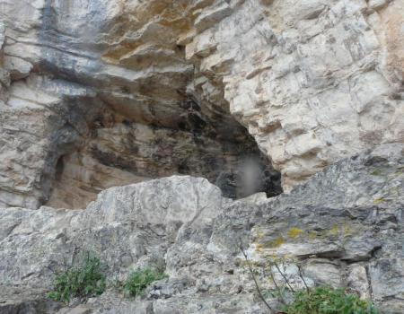 la grotte de l' Hortus (Hérault)