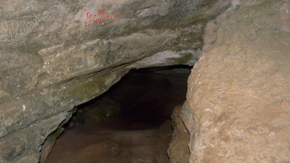 peu après l' entrée dans la grotte de l' Hortus