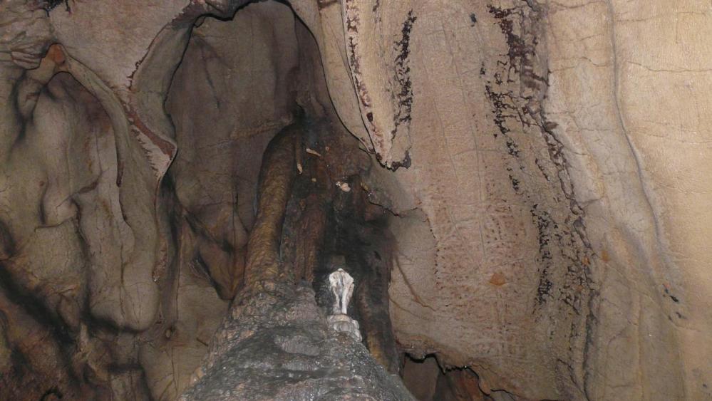 quelques concrétions de la grotte de l' Hortus