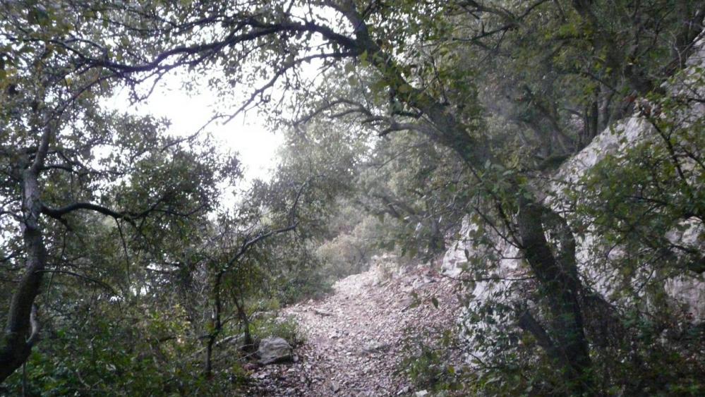 le sentier de montée au château de Viviourès