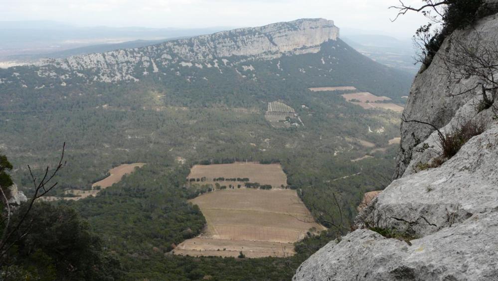 depuis l' arête est du pic St Loup, vue sur l' Hortus et ses vignes