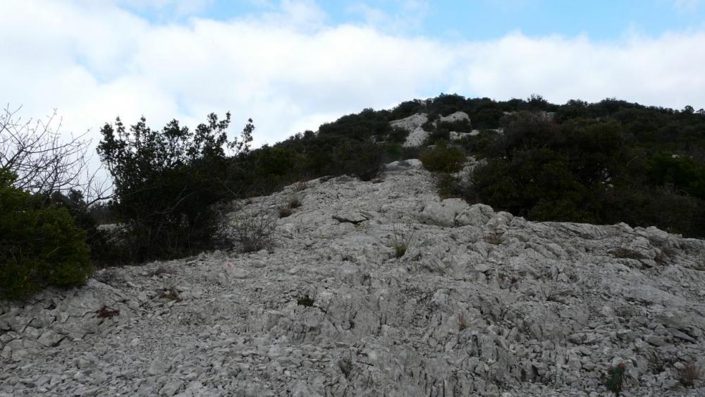 le début de la ligne de crête Ouest du pic St Loup