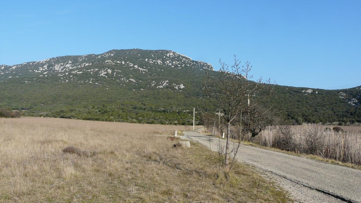 le pic St Loup