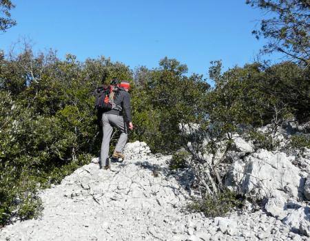 dans la première parie de l' ascension par l' arête ouest deu pic St Loup)