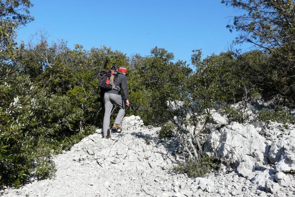 dans la première parie de l' ascension par l' arête ouest deu pic St Loup)