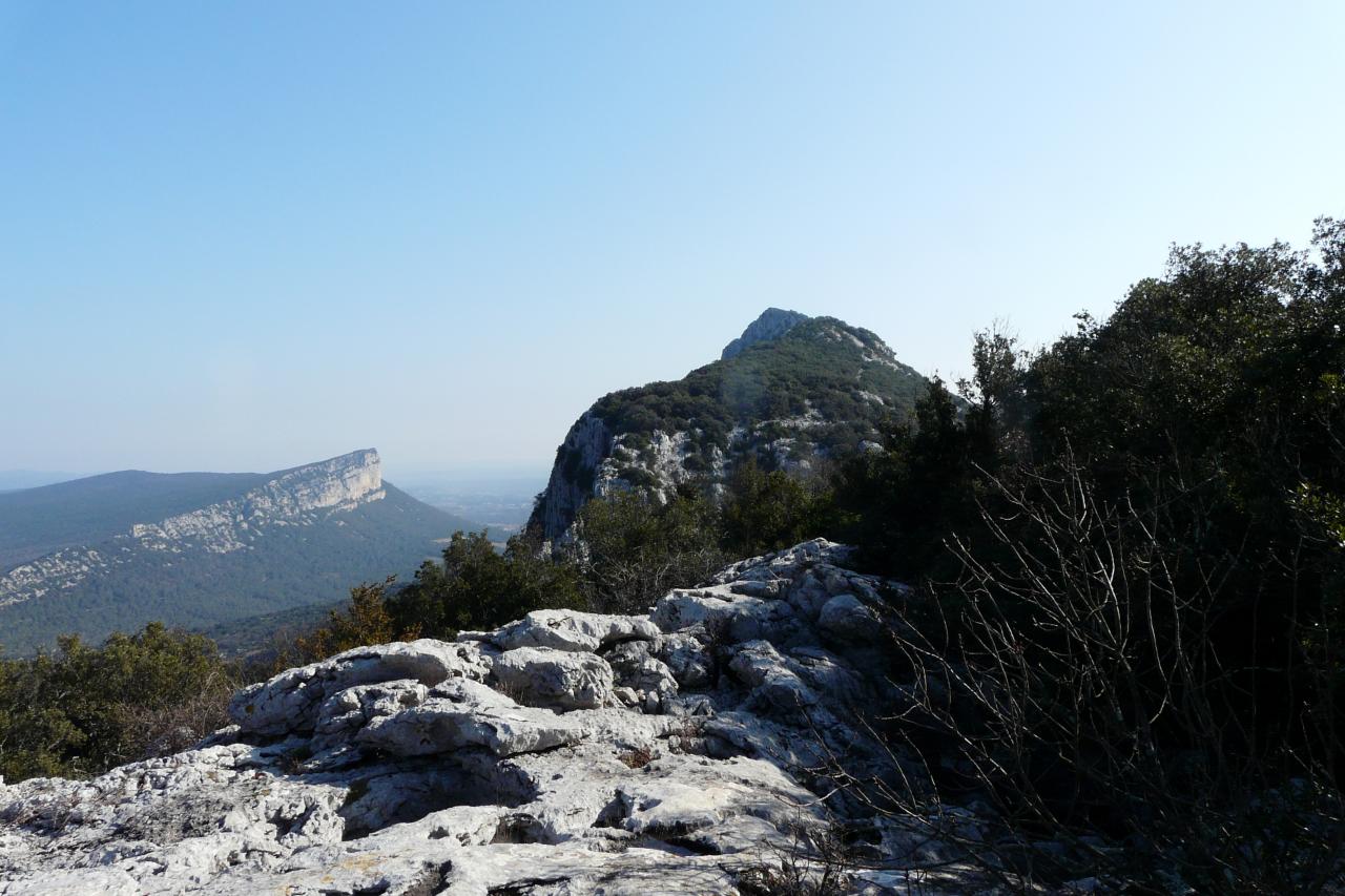 belle ambiance avec l' Hortus sur la gauche et un des éperons du pic St Loup en face !