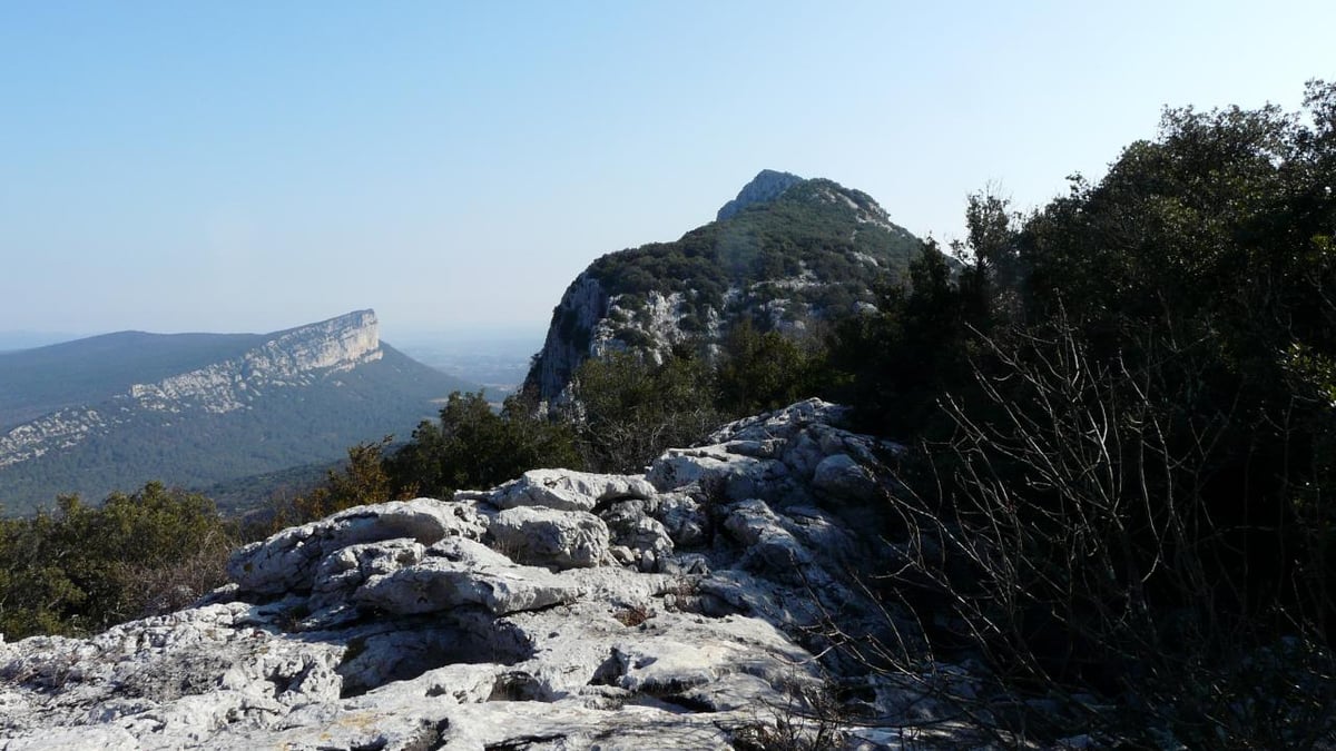 belle ambiance avec l' Hortus sur la gauche et un des éperons du pic St Loup en face !